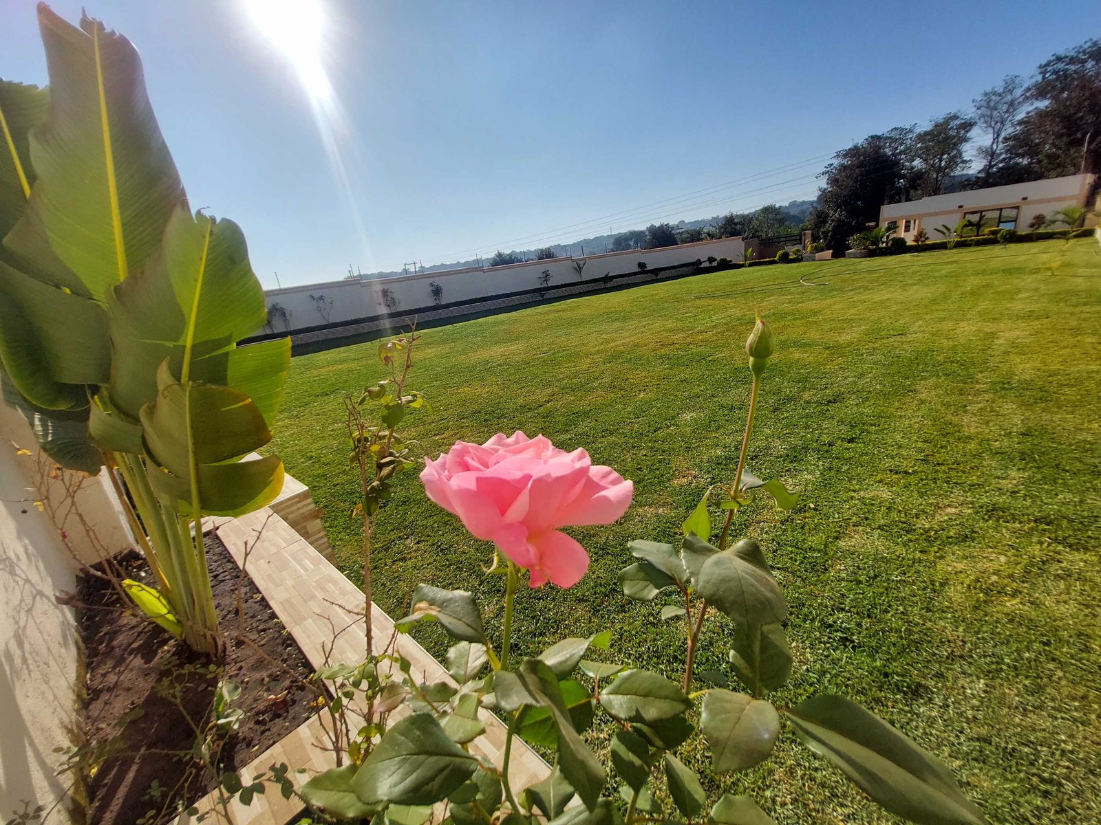 Tamyka Events Garden